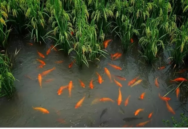 戳我试试